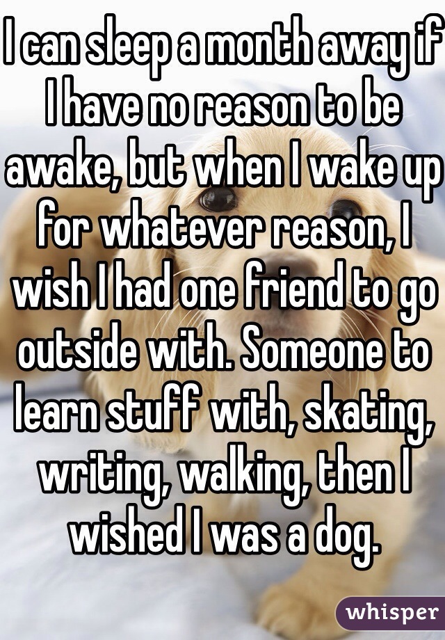 I can sleep a month away if I have no reason to be awake, but when I wake up for whatever reason, I wish I had one friend to go outside with. Someone to learn stuff with, skating, writing, walking, then I wished I was a dog.