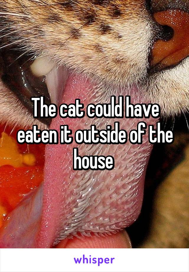 The cat could have eaten it outside of the house 