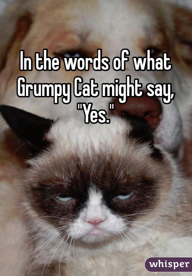 In the words of what Grumpy Cat might say, "Yes."