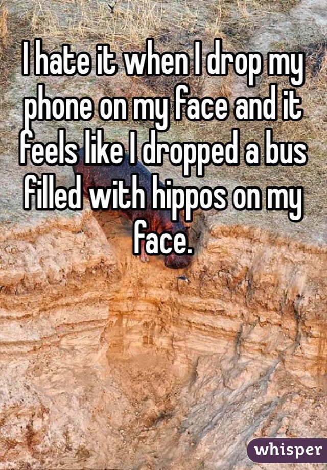 I hate it when I drop my phone on my face and it feels like I dropped a bus filled with hippos on my face.