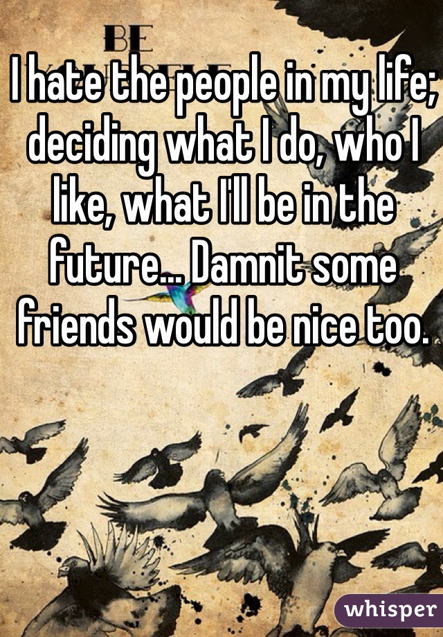 I hate the people in my life; deciding what I do, who I like, what I'll be in the future... Damnit some friends would be nice too.