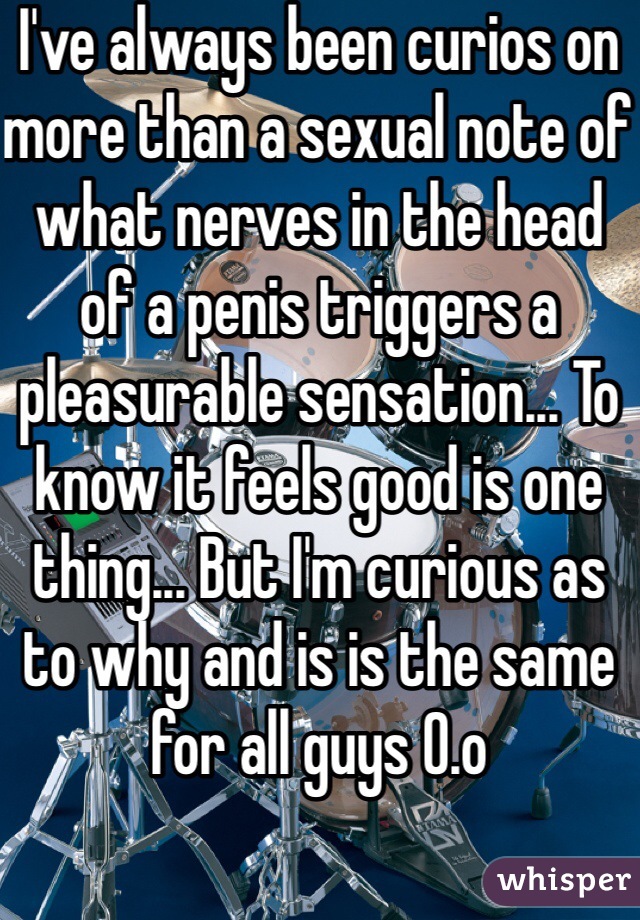 I've always been curios on more than a sexual note of what nerves in the head of a penis triggers a pleasurable sensation... To know it feels good is one thing... But I'm curious as to why and is is the same for all guys 0.o