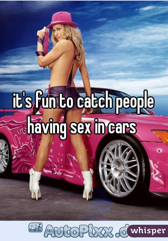 it's fun to catch people having sex in cars  