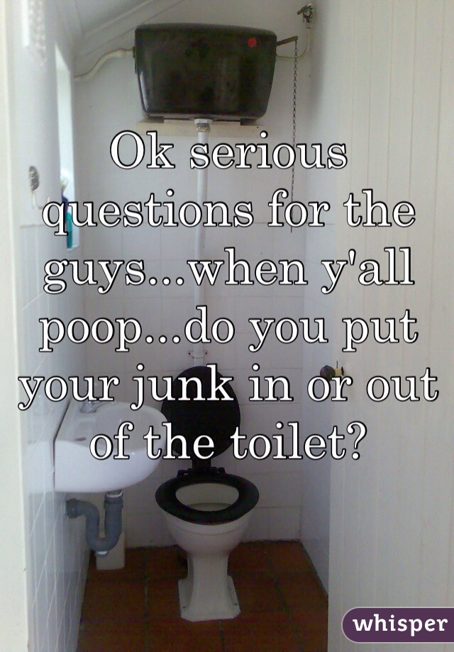 Ok serious questions for the guys...when y'all poop...do you put your junk in or out of the toilet? 