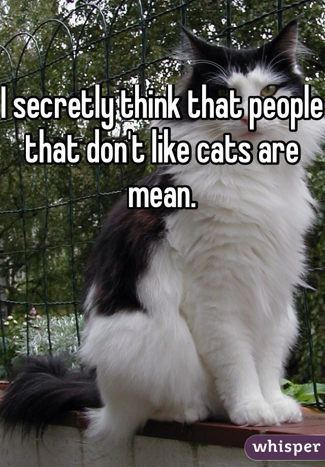 I secretly think that people that don't like cats are mean.