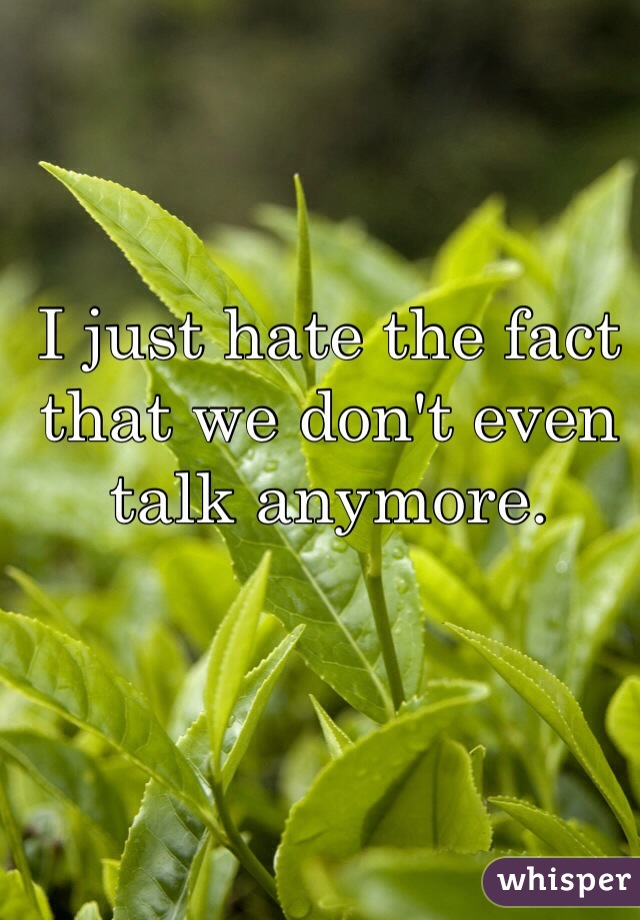 I just hate the fact that we don't even talk anymore.
