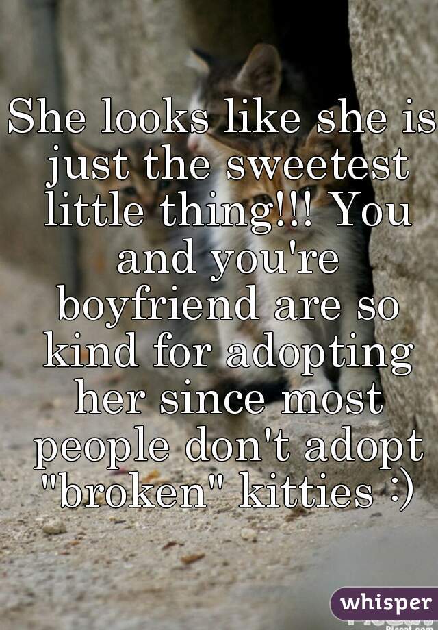 She looks like she is just the sweetest little thing!!! You and you're boyfriend are so kind for adopting her since most people don't adopt "broken" kitties :)