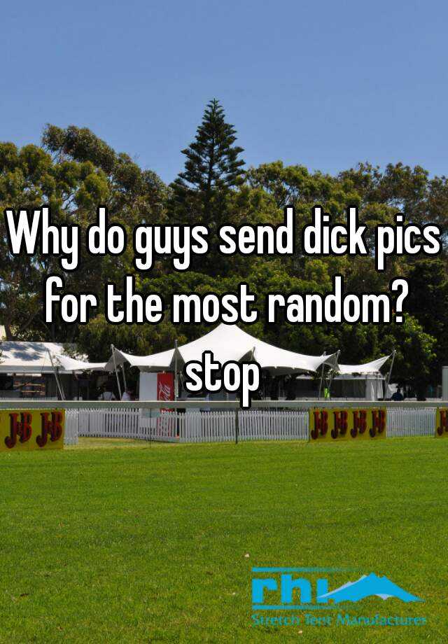 why-do-guys-send-dick-pics-for-the-most-random-stop