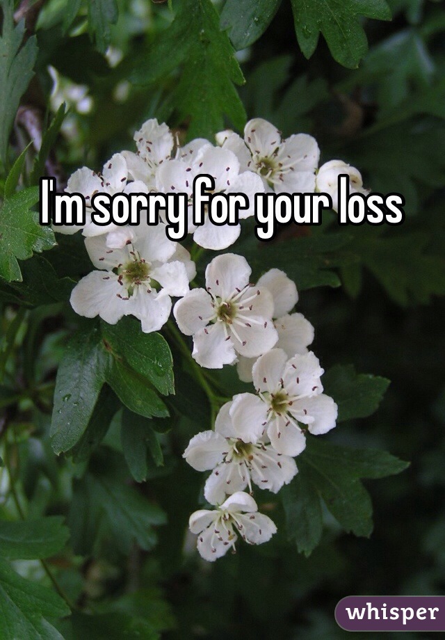I'm sorry for your loss