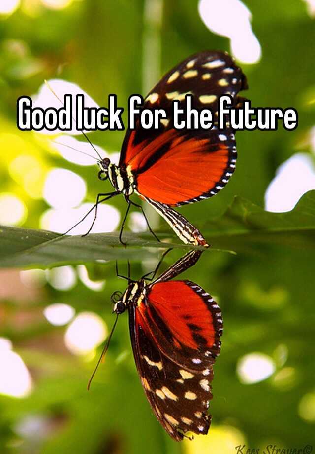 good-luck-for-the-future