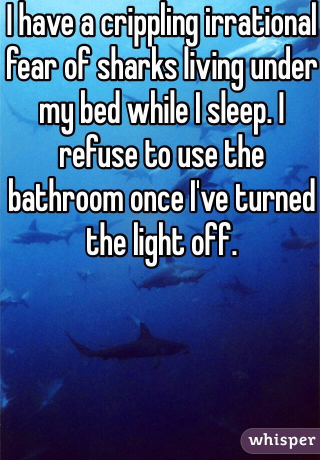 I have a crippling irrational fear of sharks living under my bed while I sleep. I refuse to use the bathroom once I've turned the light off.
