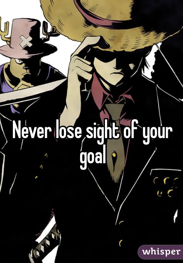 Never lose sight of your goal