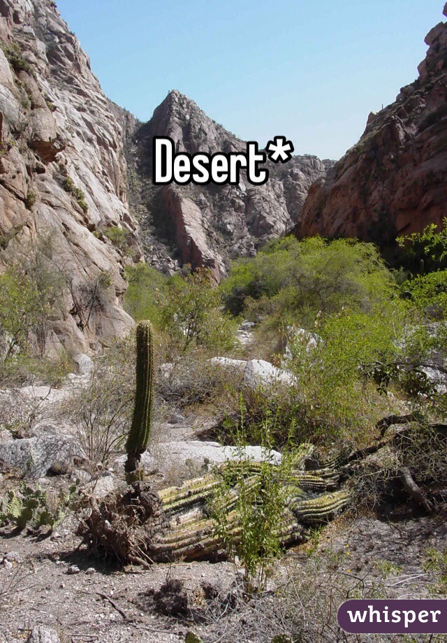 Desert*