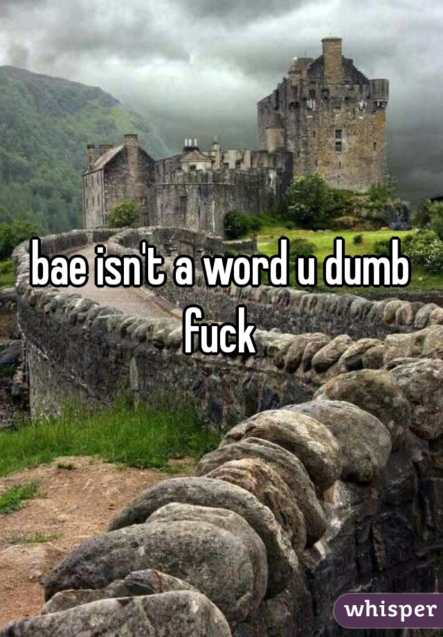 bae isn't a word u dumb fuck 