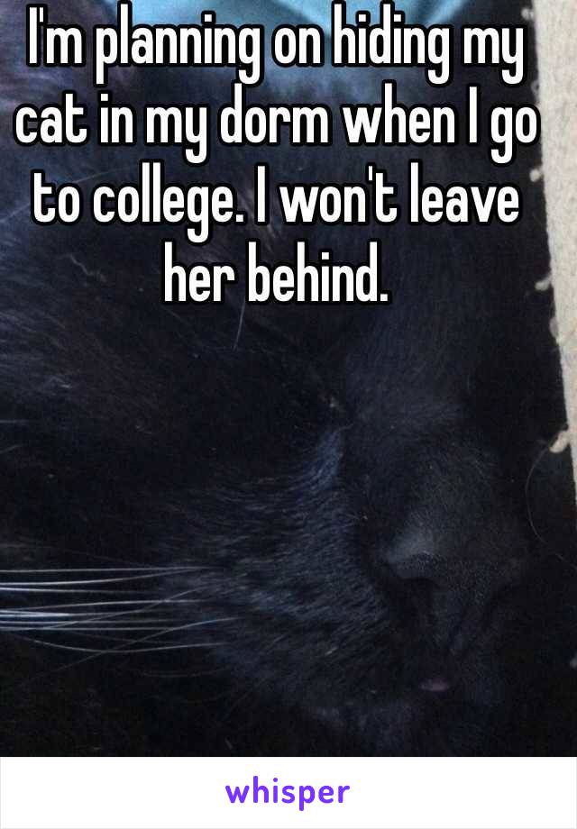 I'm planning on hiding my cat in my dorm when I go to college. I won't leave her behind.