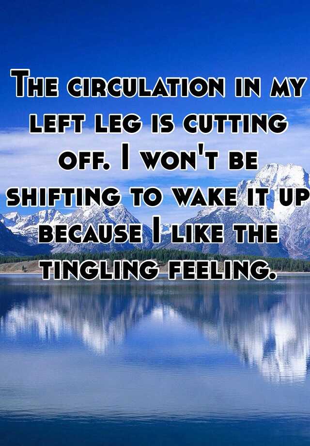 the-circulation-in-my-left-leg-is-cutting-off-i-won-t-be-shifting-to