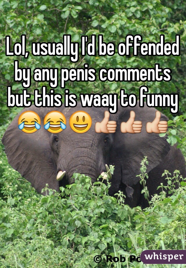 Lol, usually I'd be offended by any penis comments but this is waay to funny 😂😂😃👍👍👍