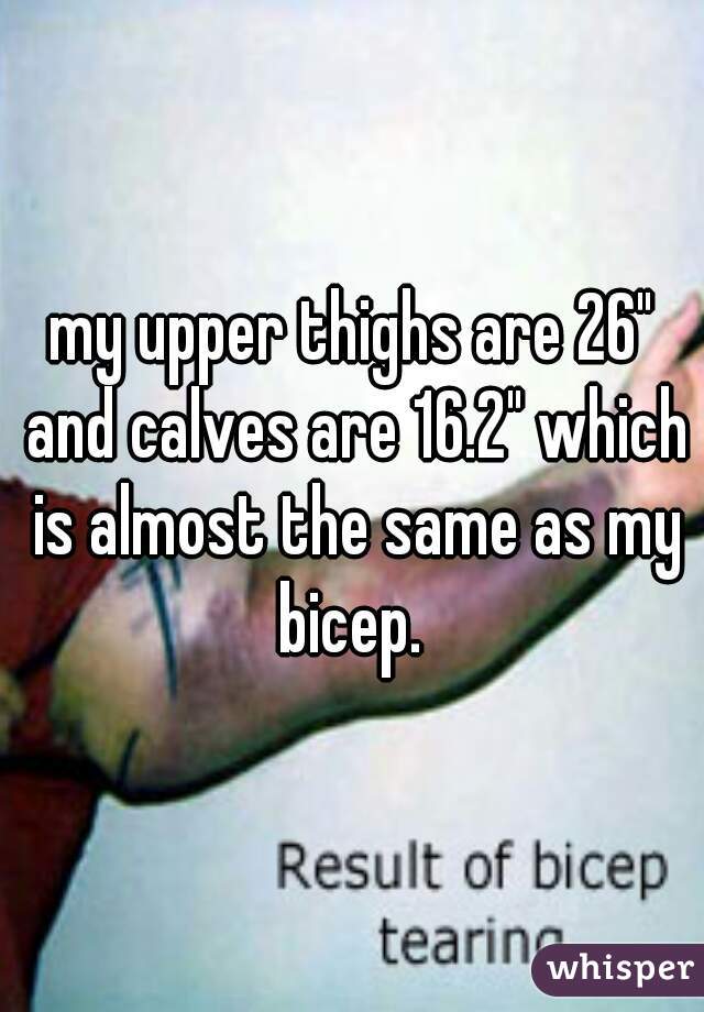 my upper thighs are 26" and calves are 16.2" which is almost the same as my bicep. 