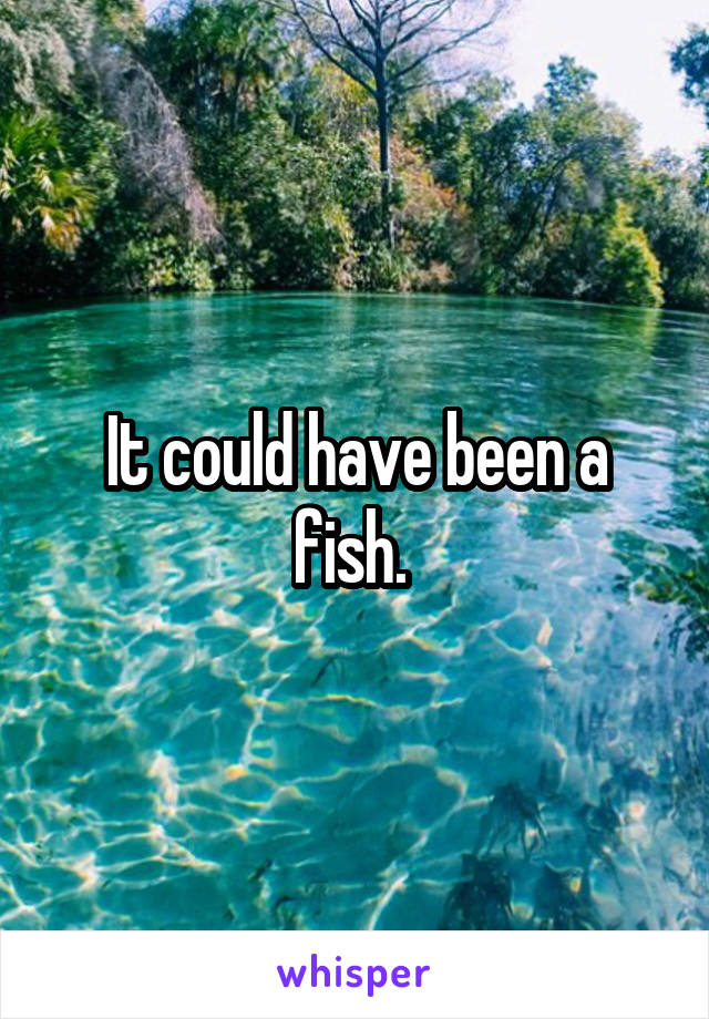 It could have been a fish. 