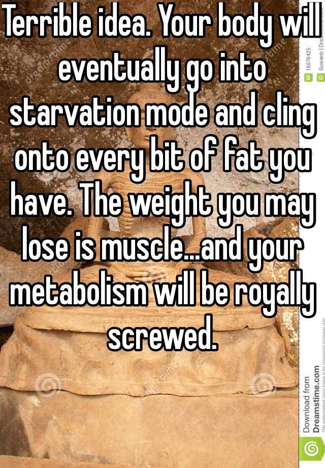 Terrible idea. Your body will eventually go into starvation mode and ...