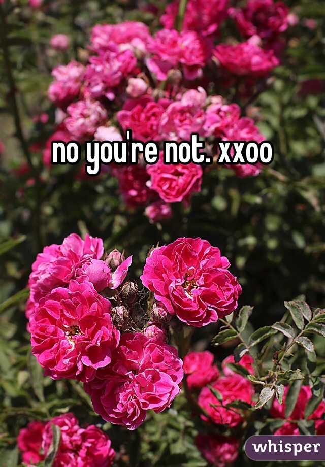 no you're not. xxoo