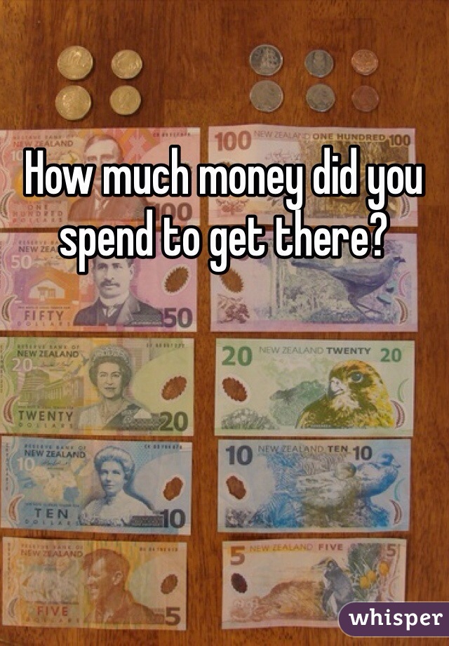 How much money did you spend to get there?