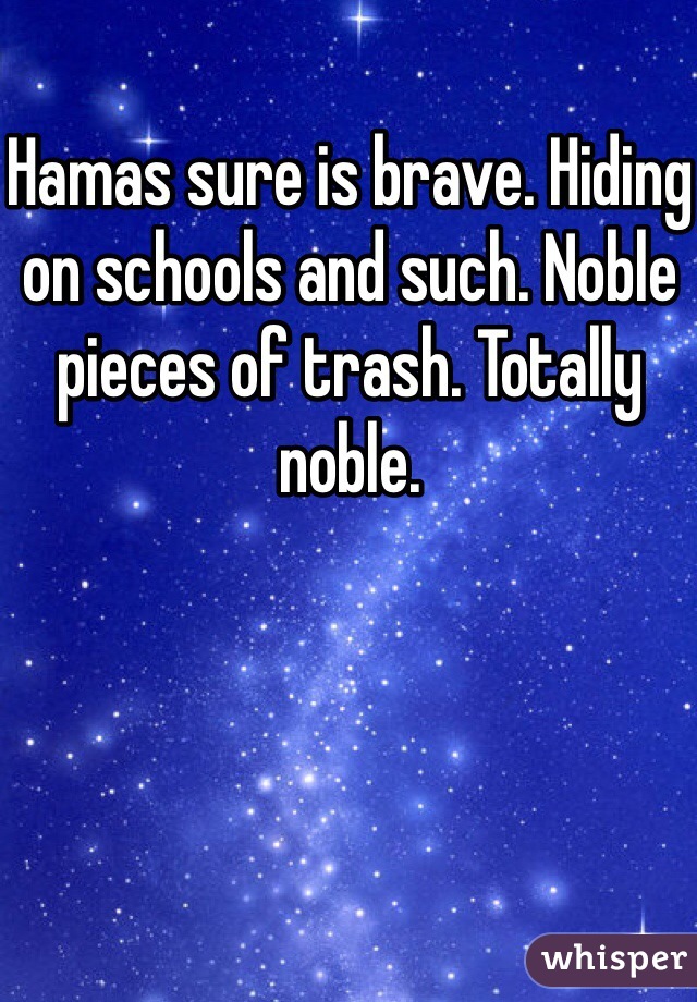 Hamas sure is brave. Hiding on schools and such. Noble pieces of trash. Totally noble. 