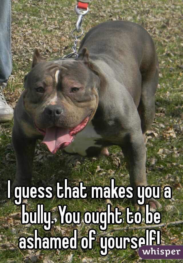 I guess that makes you a bully. You ought to be ashamed of yourself! 