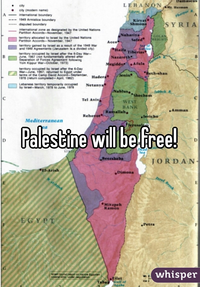 Palestine will be free!