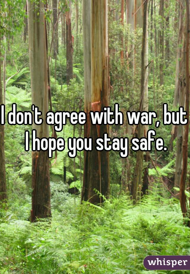 I don't agree with war, but I hope you stay safe.