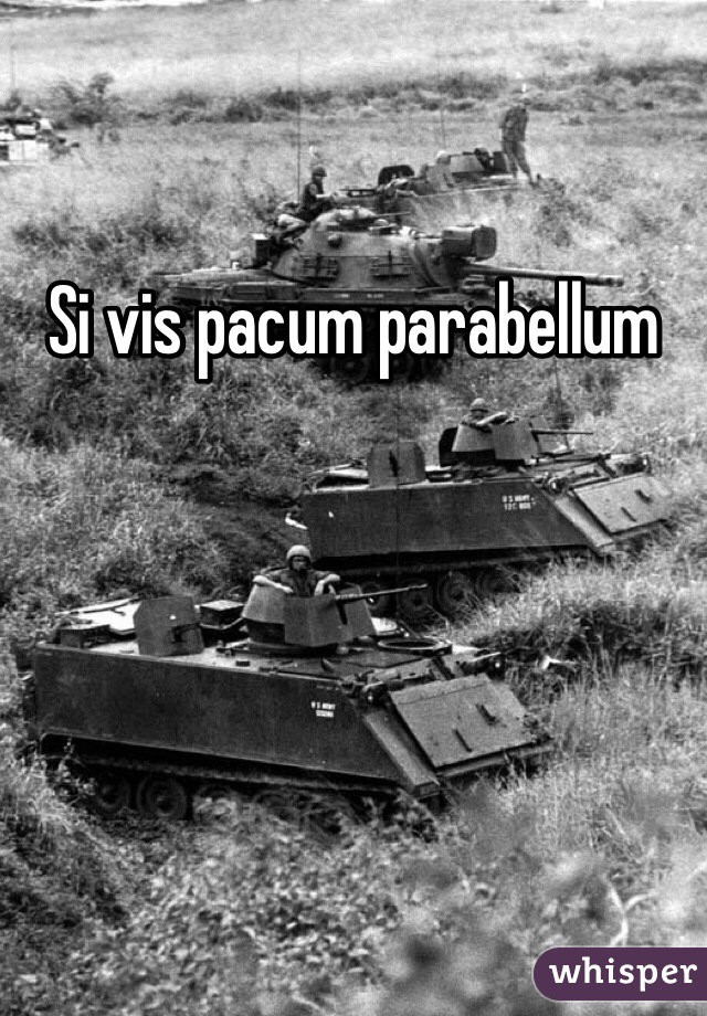 Si vis pacum parabellum