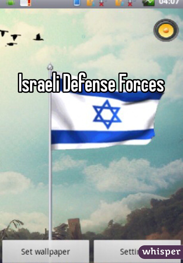 Israeli Defense Forces