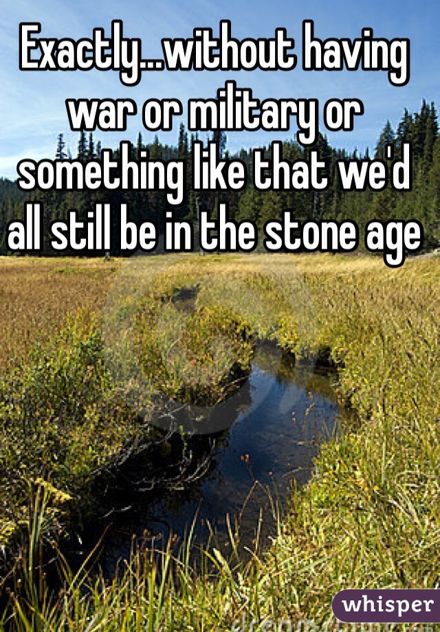 Exactly...without having war or military or something like that we'd all still be in the stone age