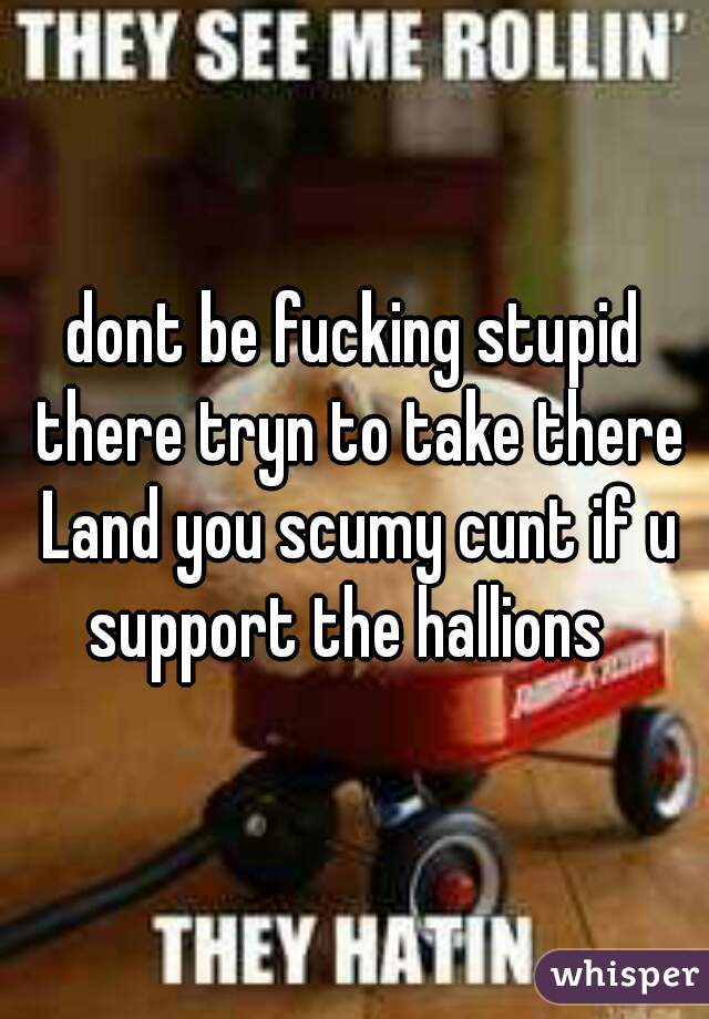 dont be fucking stupid there tryn to take there Land you scumy cunt if u support the hallions  