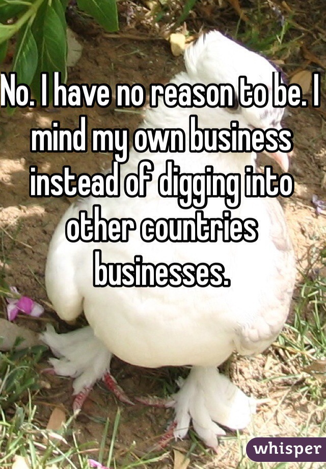 No. I have no reason to be. I mind my own business instead of digging into other countries businesses.