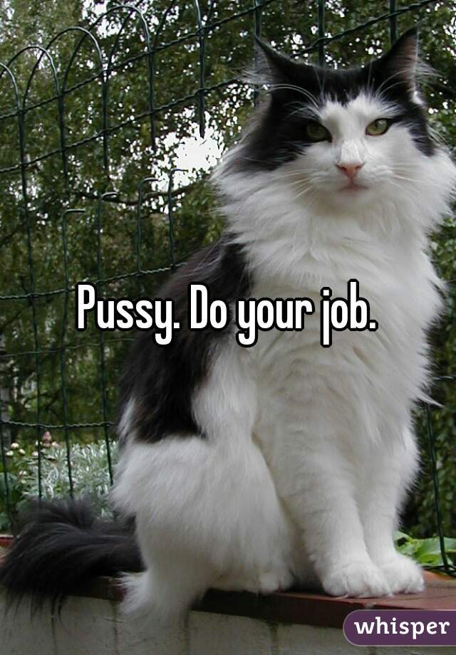 Pussy. Do your job.