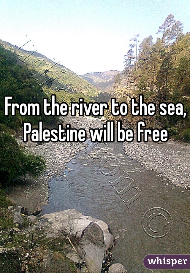 From the river to the sea, Palestine will be free 