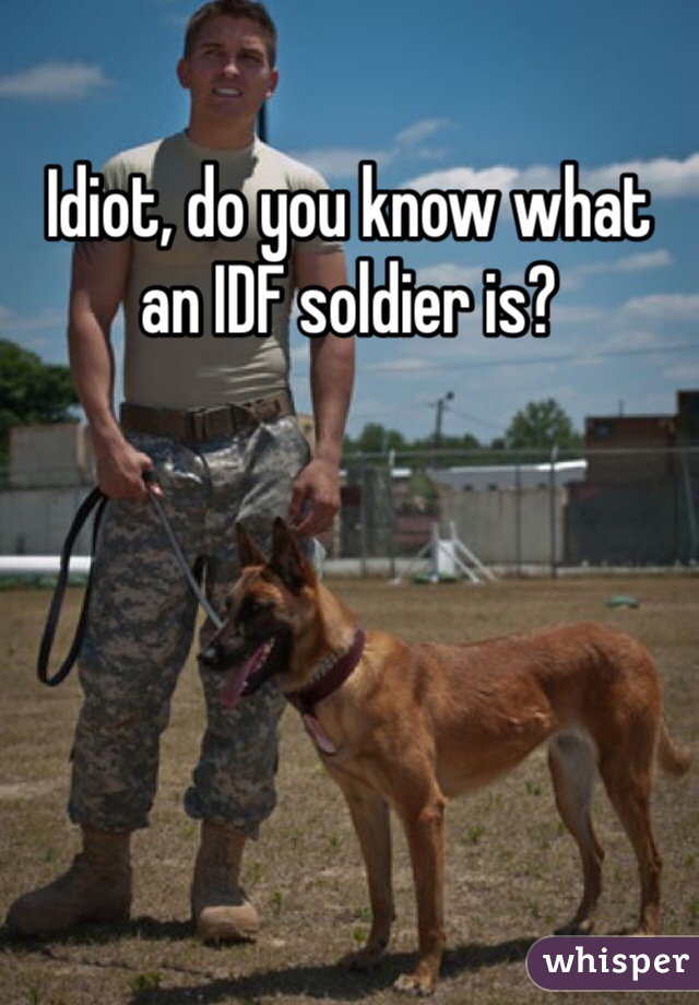 Idiot, do you know what an IDF soldier is?