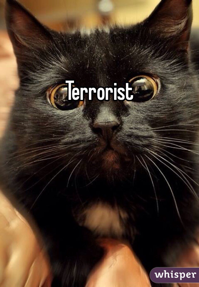 Terrorist 