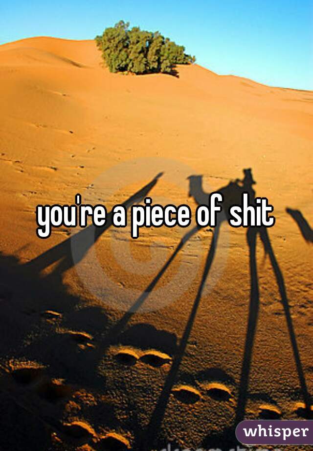 you're a piece of shit