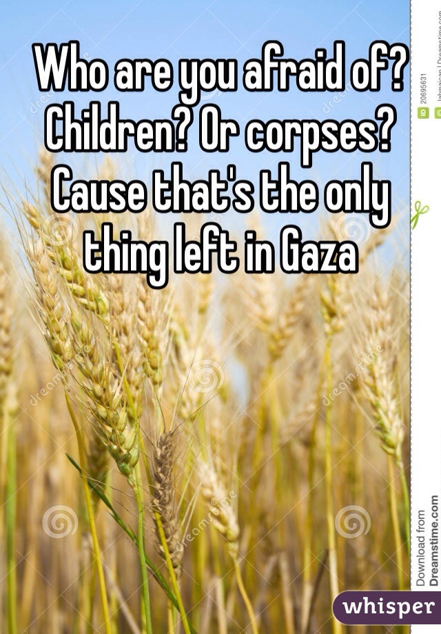 Who are you afraid of? Children? Or corpses? Cause that's the only thing left in Gaza 