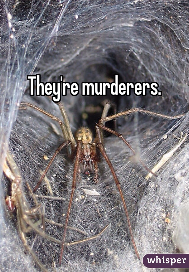 They're murderers. 