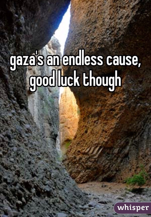 gaza's an endless cause, good luck though