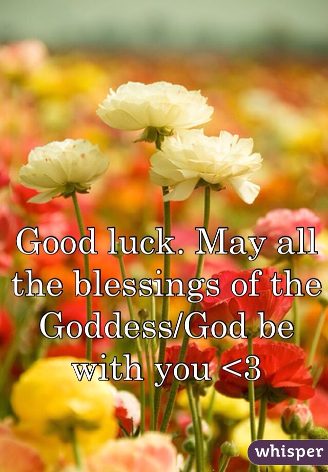 Good luck. May all the blessings of the Goddess/God be with you <3