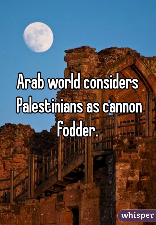 Arab world considers Palestinians as cannon fodder. 