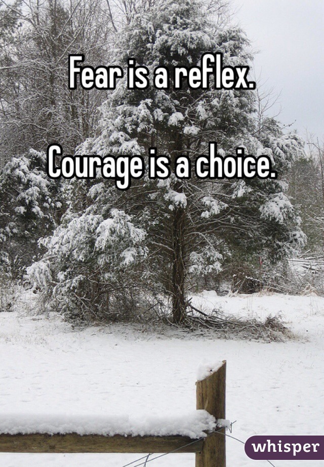 Fear is a reflex.

Courage is a choice.