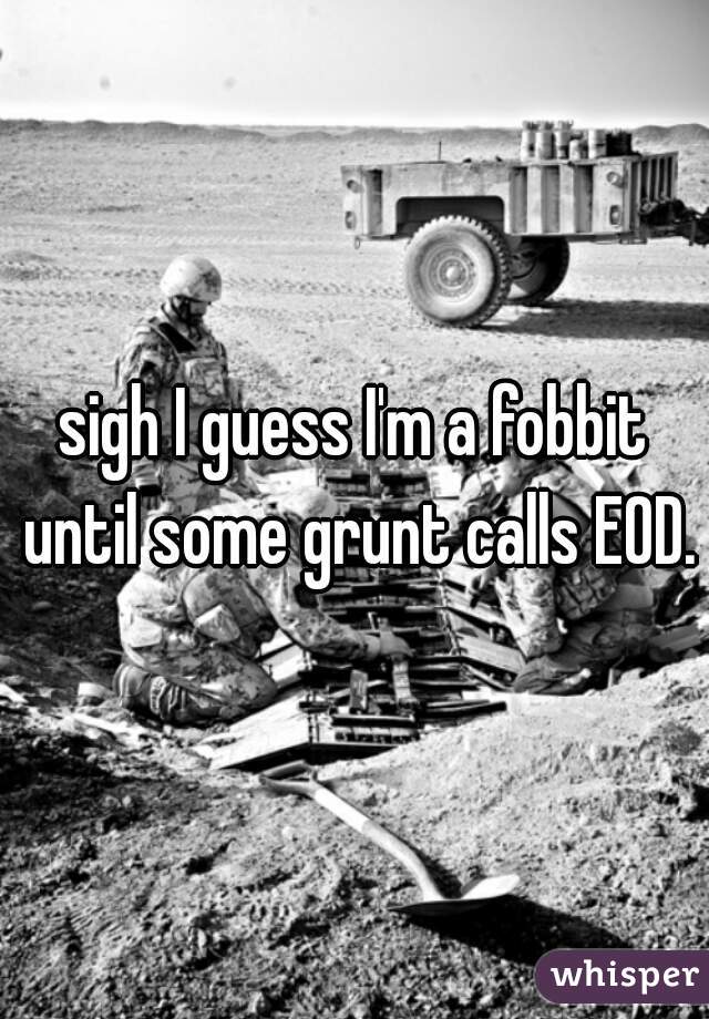 sigh I guess I'm a fobbit until some grunt calls EOD.