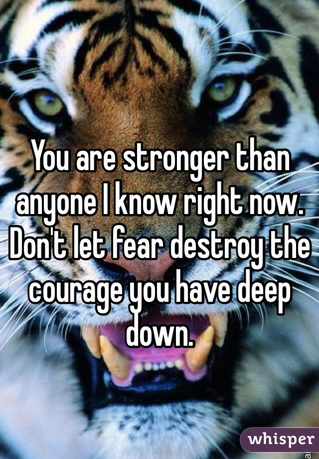 You are stronger than anyone I know right now. Don't let fear destroy the courage you have deep down. 