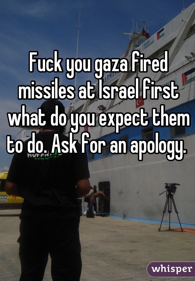 Fuck you gaza fired missiles at Israel first what do you expect them to do. Ask for an apology. 