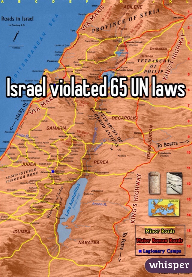 Israel violated 65 UN laws